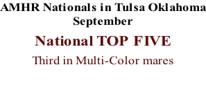 AMHR Nationals in Tulsa Oklahoma September  National TOP FIVE  Third in Multi-Color mares